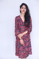 Chandini Chowdary at Sammathame Success Meet